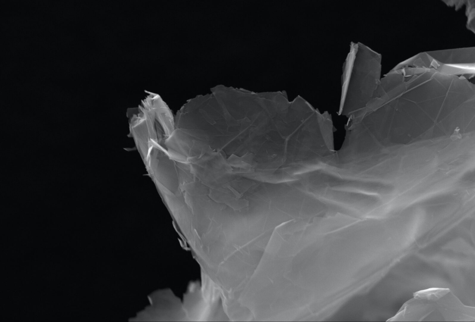 Grafene al SEM_2.