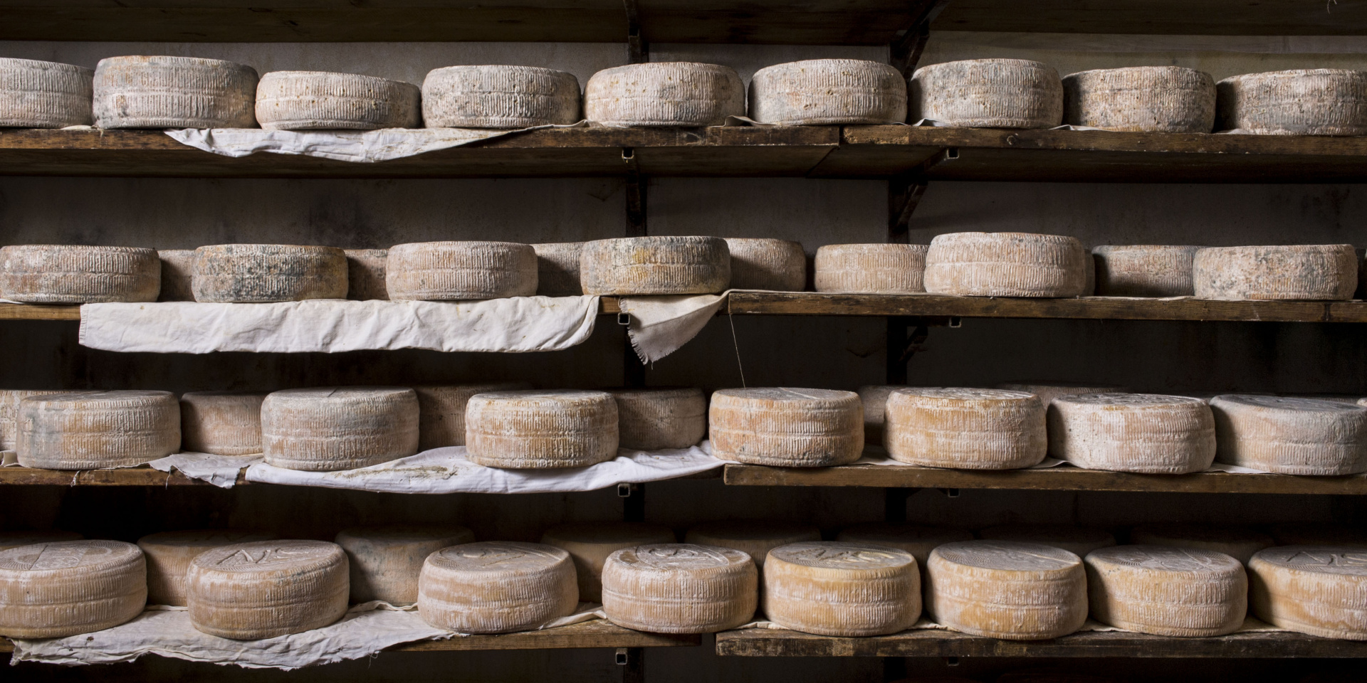 Forme di Strachìtunt Dop, formaggio erborinato a due paste prodotto esclusivamente in val Taleggio e Val Brembilla. Forme di Strachìtunt Dop, formaggio erborinato a due paste prodotto esclusivamente in val Taleggio e Val Brembilla.