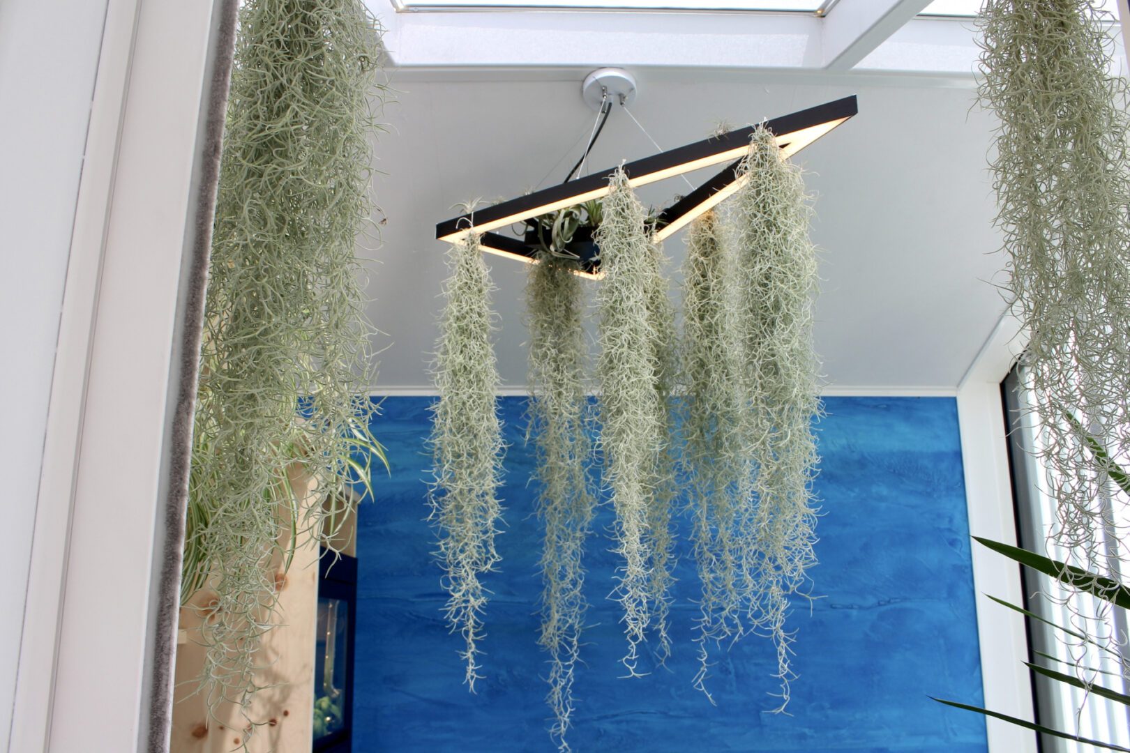 Dettaglio progetto-allestimento Healthy