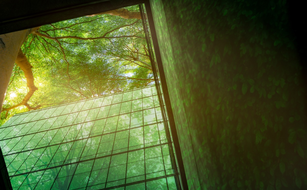 Costruzioni green
