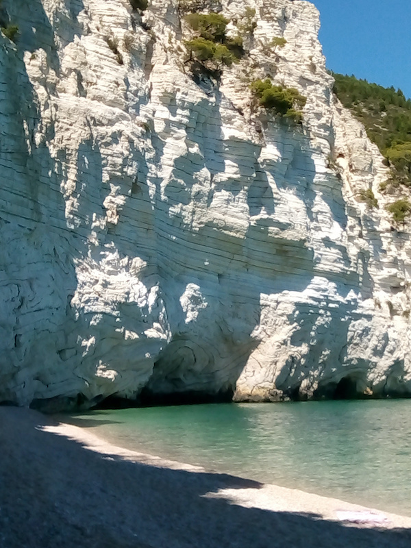 Falesia di calcare, Gargano (Foggia)