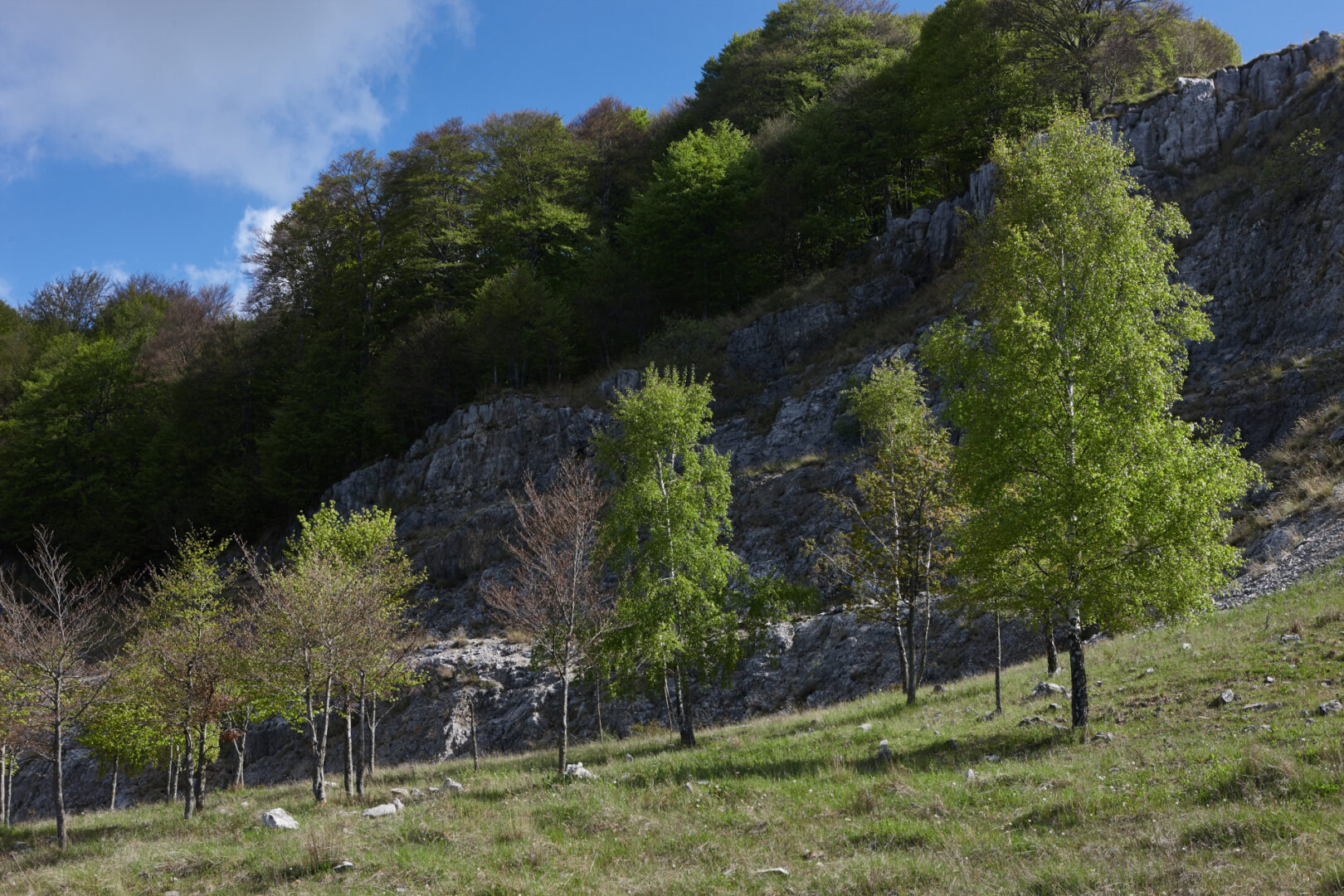 Colle Pedrino_3.